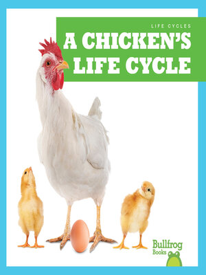 cover image of A Chicken's Life Cycle